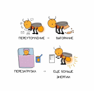  -  -:     