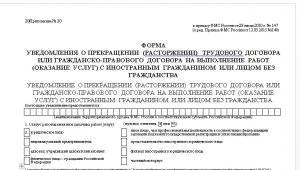 Уведомление о расторжении трудового договора с иностранным гражданином. Форма №20. ЗУП 2.5: Техническая поддержка на 1 месяц Уведомление о расторжении трудового договора с иностранным гражданином. Форма №20. ЗУП 2.5: Техническая поддержка на 1 месяц