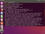 Ubuntu 16.04 009.png
