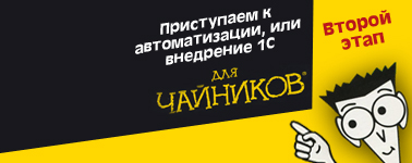 Автоматизация для "чайников". Второй этап - "Программу купили. Внедряем и пытаемся работать!"