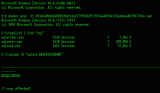 container_info_cmd.png