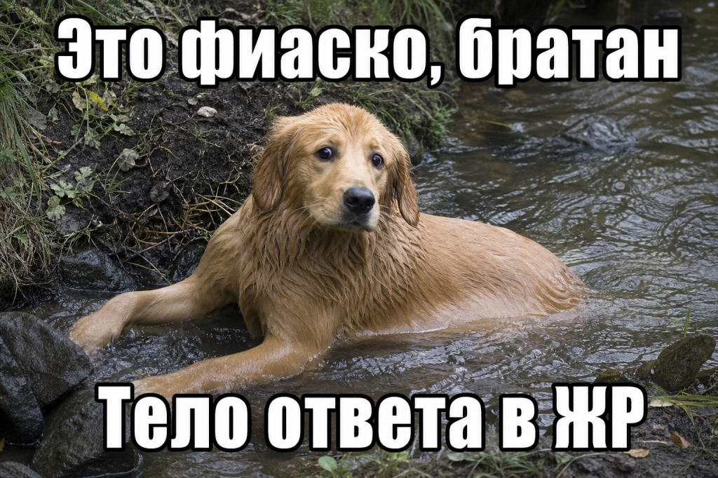 Это фиаско, братан