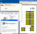 Windows XP IE8 1C 8.2.19.83 Толстый клиент