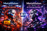 MetaVision for 1C AI.png