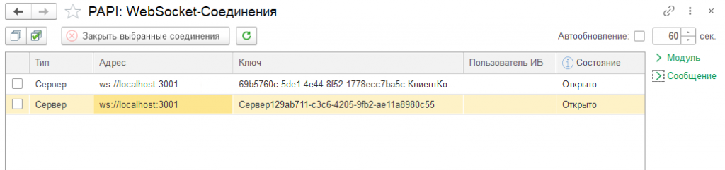 ���������� WebSocket-������������