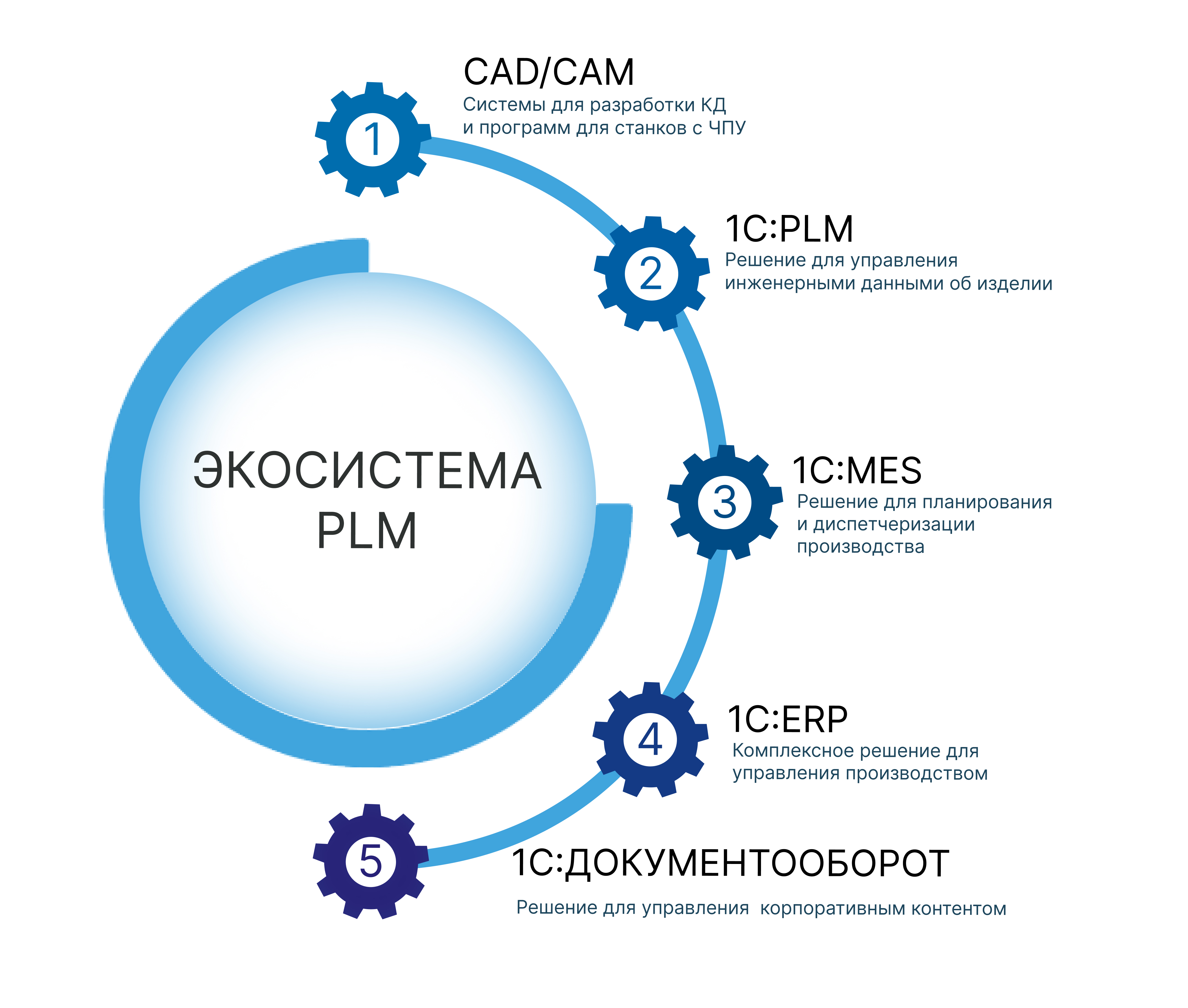 PLM (2).jpg