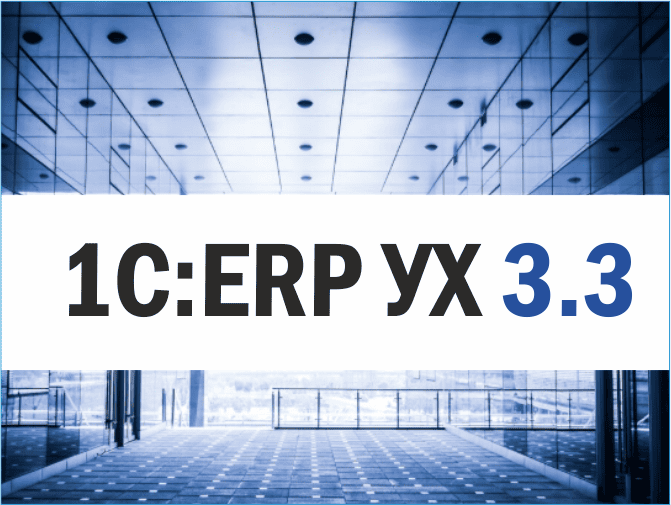 1�:ERP ���������� ��������� 3.3: ��������� ��� �������� �������������� ����������