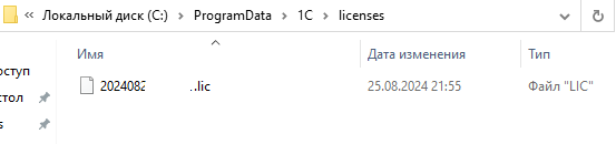 Файл с лицензией 1С на компьютере Файл с лицензией 1С на компьютере
