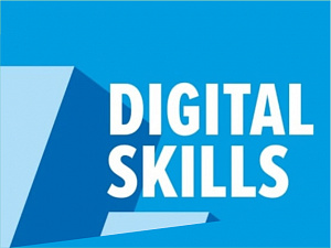 DigitalSkills 2023:     1