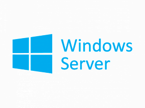 Windows Server       Microsoft WaaS