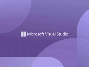 Visual Studio 2022  .NET 6:  