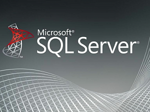  Microsoft SQL Server 2016  1:    