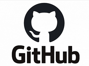 GitHub       