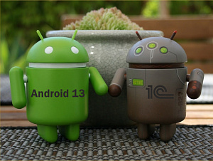  1ѻ       Android  13
