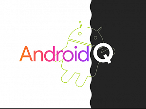    :     Android Q   