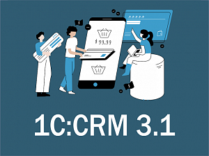 1:CRM 3.1:      