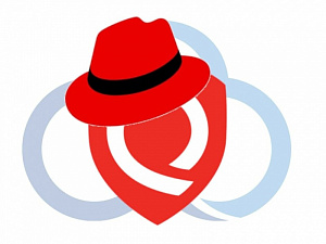 Qualys   Red Hat    Linux  Kubernetes