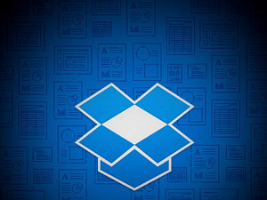 Dropbox      100 