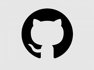 GitHub     