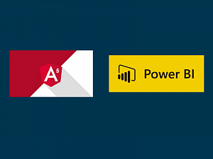 Microsoft   Power BI    Angular-