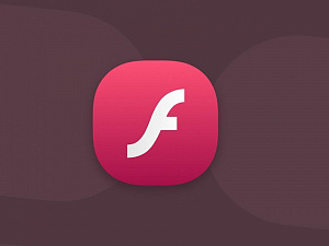   Adobe Flash Player