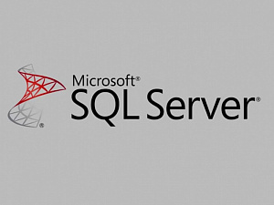  1ѻ     Microsoft SQL Server  1: 8