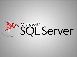  1ѻ        Microsoft SQL Server