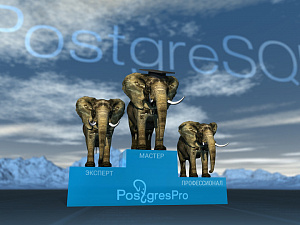    PostgreSQL    