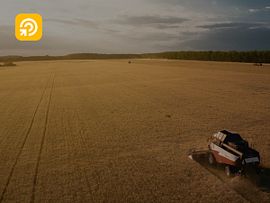 ��� ��������������� ��������� ������������� � ������: ������������ ������ �� ����������� 1�:ERP ���������������� ��������