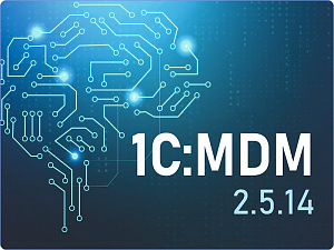 ���������� ��� � �������������� �������������� ���������� � 1�:MDM 2.5.14