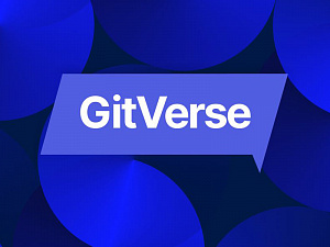    GitVerse  -   