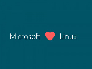     : Microsoft  Linux   exFAT