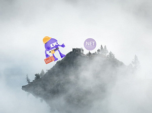 Microsoft    .NET 6