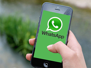  1ѻ    WhatsApp  1: 8.3.23