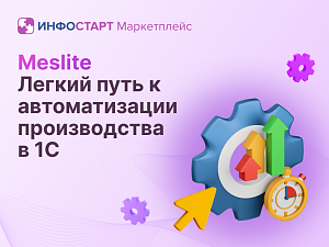 MESlite:        1