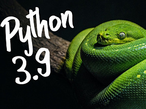      Python 3.9