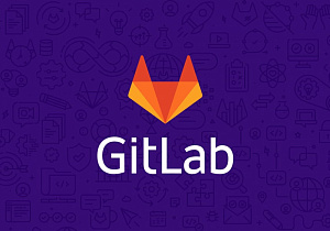 GitLab      11   