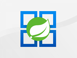 Microsoft  VMware    Azure Spring  Java-