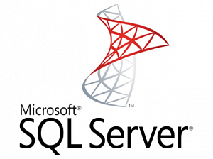          Microsoft SQL Server