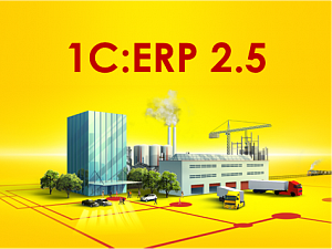  1ѻ      1:ERP   2.5